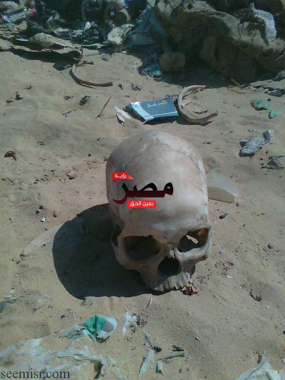 جماجم وعظام بشرية في أسيوط