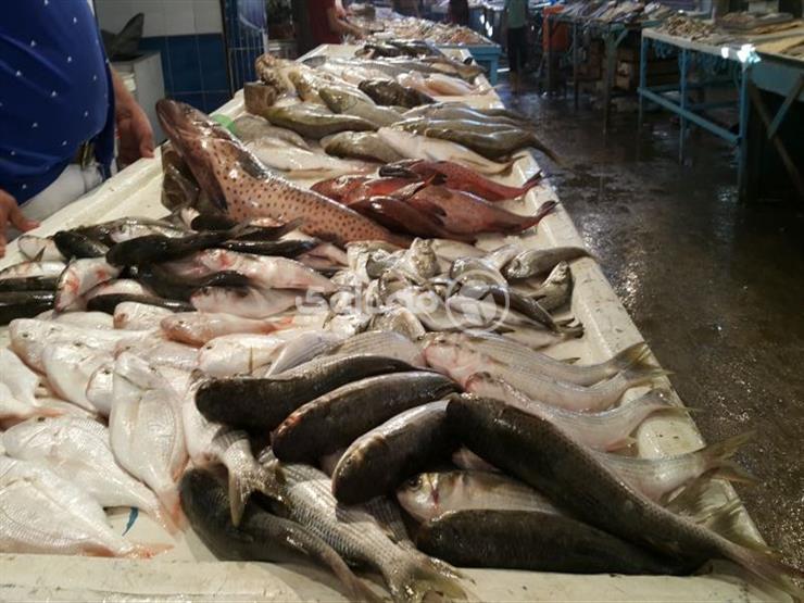كيلو البلطي بـ 39 جنيه.. أسعار الأسماك بسوق العبور خلال تعاملات اليوم لشهر رمضان