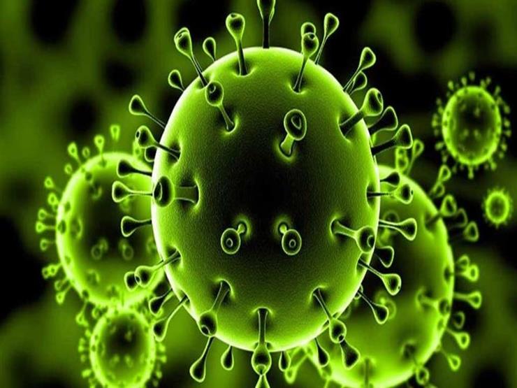 توقعات بظهور موجة ثانية من فيروس كورونا خلال الشتاء القادم 2021