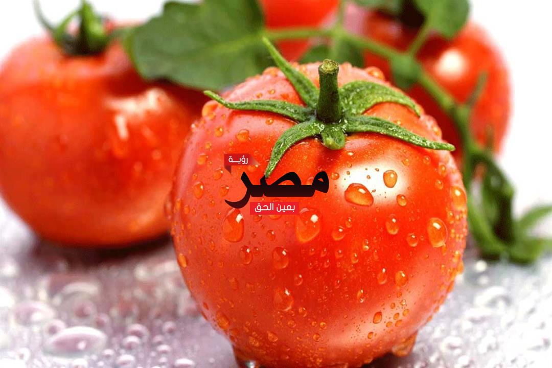 ارتفاع صادم في سعر قفص الطماطم